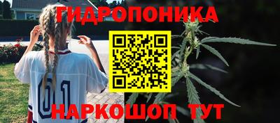 ПСИЛОЦИБИНОВЫЕ ГРИБЫ Северобайкальск