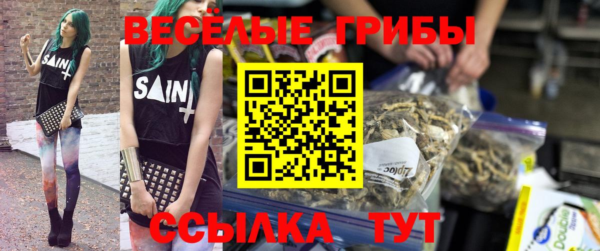 сколько стоит  Галлюциногенные грибы ЛСД  Вход с VPN  Псилоцибиновые грибы Psilocybe  Семилуки 