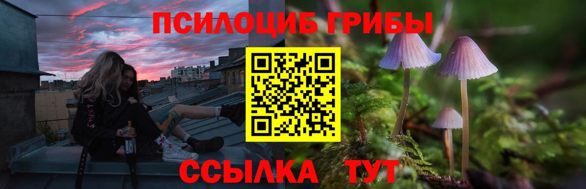 Псилоцибиновые грибы мицелий Семилуки